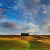 Golden Tuscany van Marc Smits