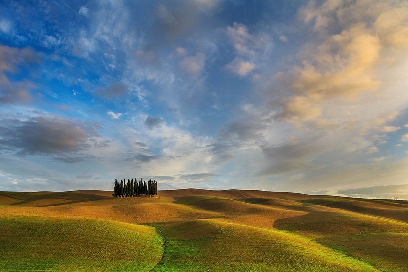 La Toscane dorée par Marc Smits