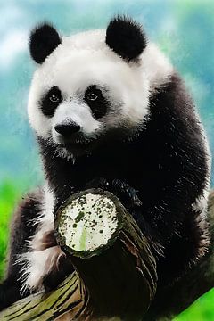 Panda by Mateo