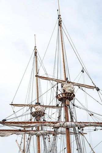 Kraaiennesten in de masten. Harlingen.