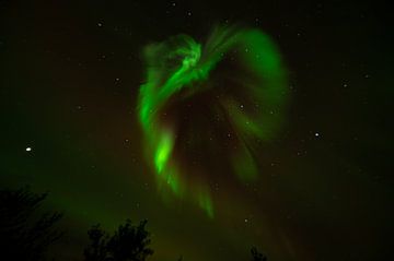 Nordlicht Aurora borealis Island von Dick Hoogenboom