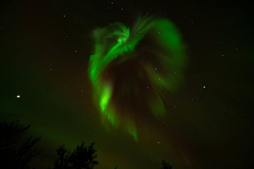 Noorderlicht Aurora borealis IJsland