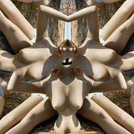 Tolle Beine (015) von Jeroen van der Meij