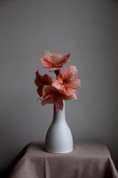 Stilleven van Amaryllis op vaas