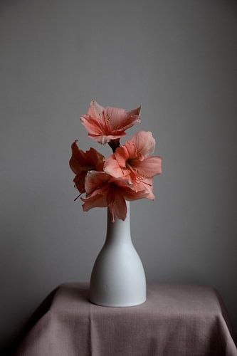 Nature morte d'Amaryllis sur vase
