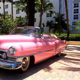 Pink Cadillac in Miami Beach Florida by Thomas Zacharias