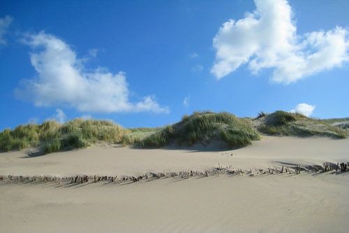 Une journée ensoleillée dans les dunes côtières sur Theodor Decker