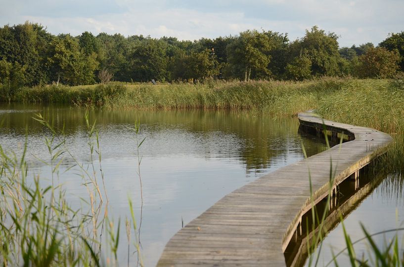 La nature sur Ameland. par Floor Fotografie