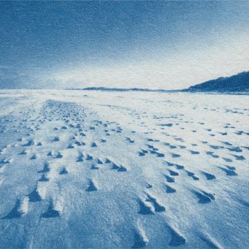 Plage nord sur Natasja Vugts