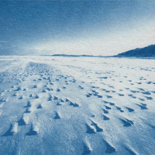 Noorderstrand van Natasja Vugts