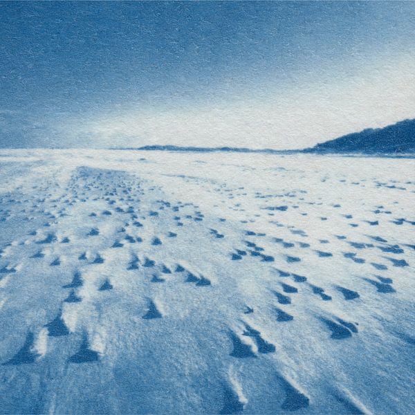 North beach by Natasja Vugts