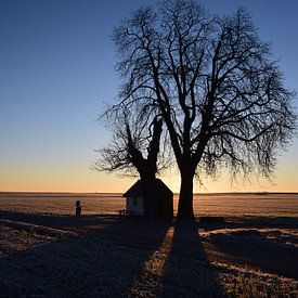 Kapel in bevroren ochtendzon von Maarten Honinx