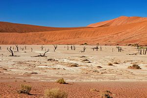 Le Deadvlei en Namibie