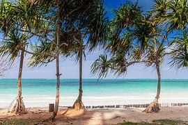 Sansibar 4 von Henk Leijen