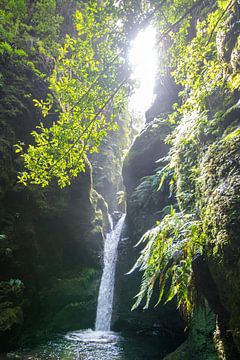 Waterfall in a canyon with morning light on ferns by Janneke Kaim