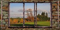 de vieilles fenêtres - automne par Christine Nöhmeier Aperçu