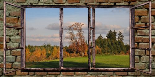Wintow views - autumn by Christine Nöhmeier