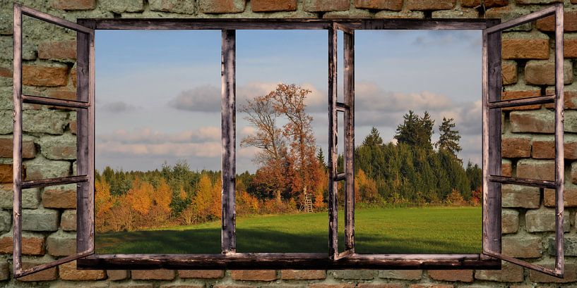 de vieilles fenêtres - automne par Christine Nöhmeier