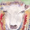 Colourful sheep, watercolour by Catharina Mastenbroek