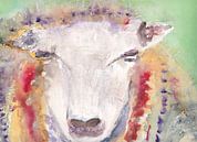 Kleurrijk schaap, aquarel van Catharina Mastenbroek thumbnail