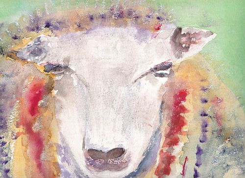Kleurrijk schaap, aquarel