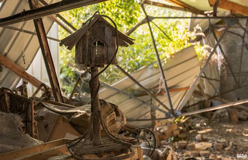 Vogelhuisje in een verlaten houtbewerkingsfabriek.