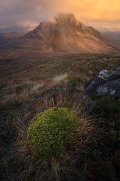 Blick vom Stac Pollaidh in Schottland von Jos Pannekoek