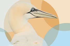 Jan van Gent by Elles Rijsdijk