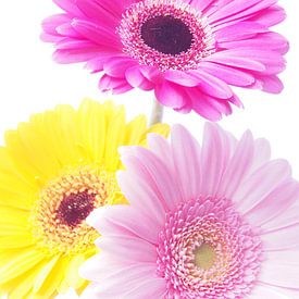 Colorful flowers von Marjon van Vuuren
