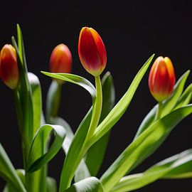Foto von Tulpen von Sjoerd van der Hucht