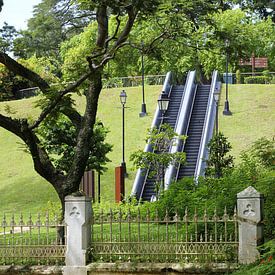 Rolltreppe im Park von Martijn Stoppels