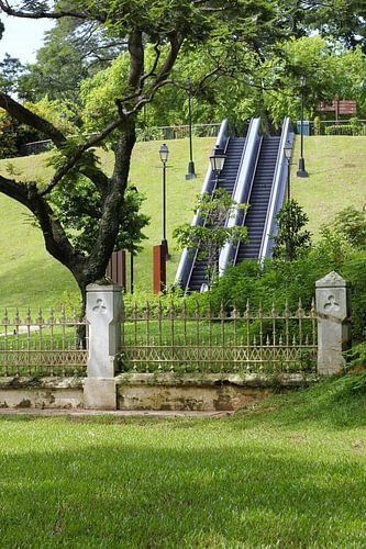 Escalator dans le parc