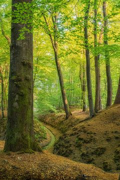 Sprengungen im Schlosspark von Moetwil en van Dijk - Fotografie