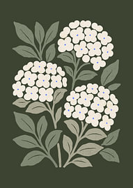 White Hydrangea Blooms by Katarzyna Gąsiorowska