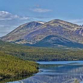 Norwegen, Rondane von Michael Schreier