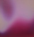 Gradient Pink van The Home Style Club thumbnail
