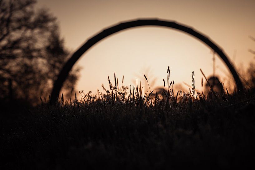 Lever de soleil sur l&#039;herbe par Jeannette Fotografie