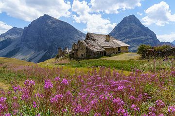 Ruinen eines alten Bauernhofs mit lila Blumen im Vordergrund von Jeroen Kleiberg