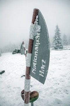 Nationaal Park Harz