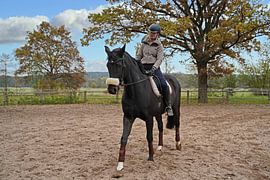 Training with the Bayer black horse Baveria on a riding arena in autumn
