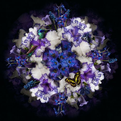 Flower art - Royal blue by Fine Art Flower - Artist Sander van Laar