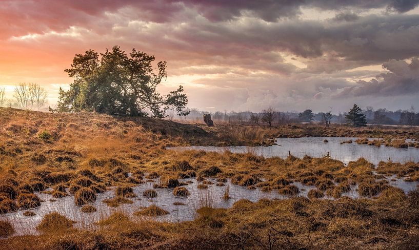 Threatening thunderclouds at the Hageven by Peschen Photography