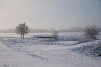 Sneeuwlandschap