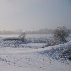 Sneeuwlandschap van Elise Daanen