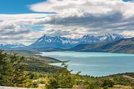 Meer in Patagonie van Trudy van der Werf thumbnail