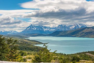 Meer in Patagonie by Trudy van der Werf