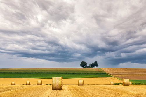 Heuvel landschap in de Moezel