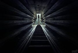 Bezirk 8 von Dieter Herreman