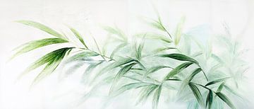 Sanftes Bambusgrün auf Weiß von Poster Art Shop