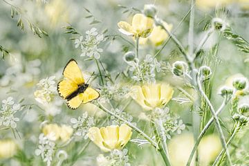 Gelber Schmetterling von Hanneke Luit